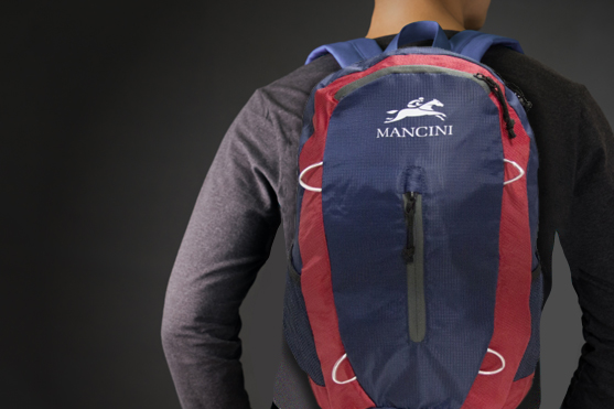 THE BACKPACK, A FUNCTIONALITY FRIENDLY BAG!