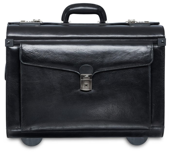 Deluxe Wheeled Catalog Case