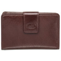 52283_Brown_1